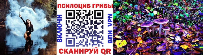 Галлюциногенные грибы прущие грибы  продажа наркотиков  Спас-Клепики 
